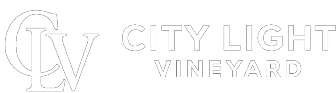 City Ligth Vineyard Church